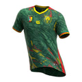 Cameroun Domicile CAN 2025