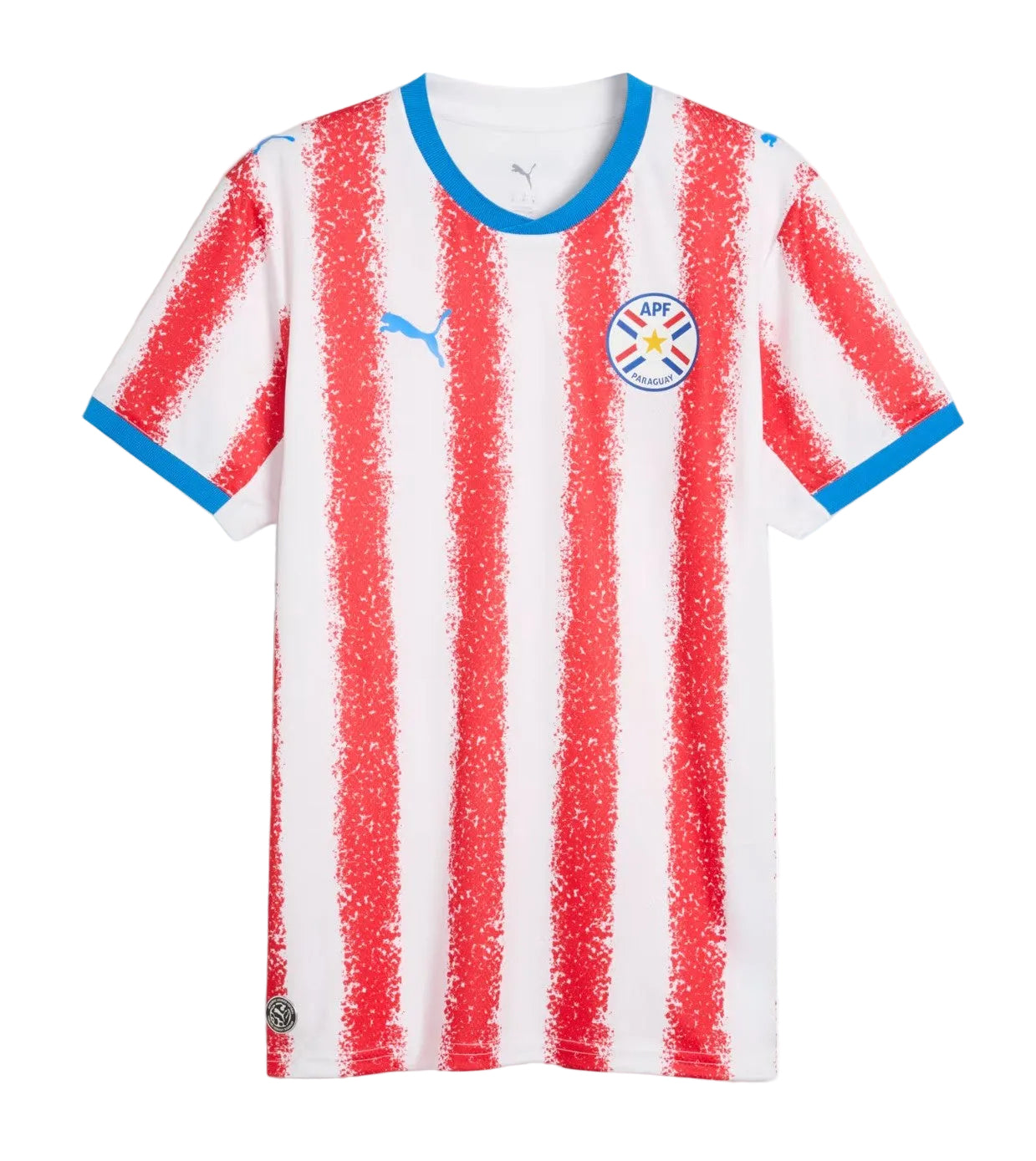 Paraguay Domicile 2026