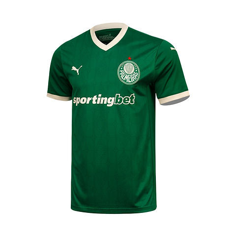 Palmeiras Domicile 2025