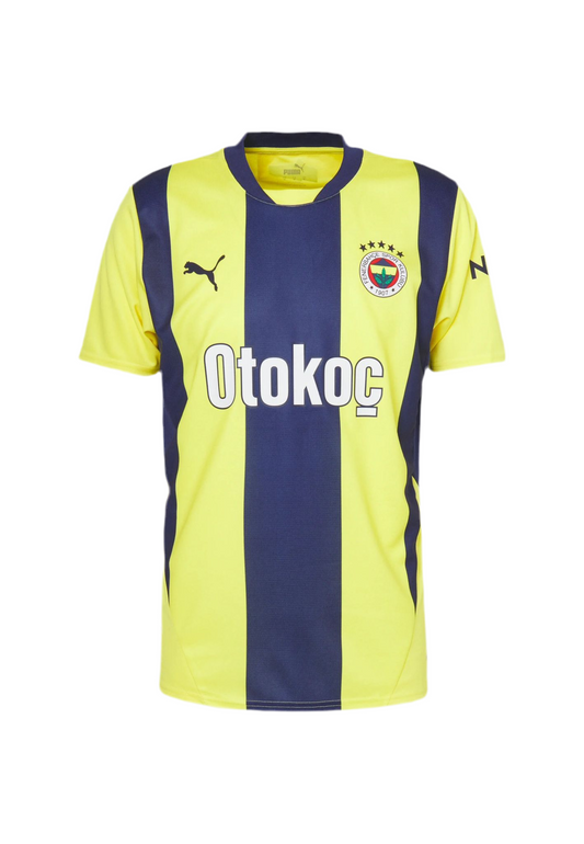 Fenerbahce domicile 2024/2025