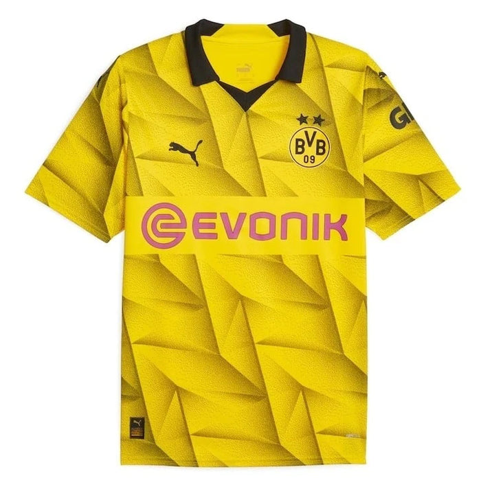 Dortmund Champions League 2023/2024